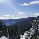Bergheim Schmidt Ski-in Ski-out Almhuetten Im Wald *