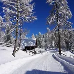 Bergheim Schmidt, Almhütten Im Wald Appartments An Der Piste Alpine Huts In Forrest Appartments Near Slope Turracher Hohe
