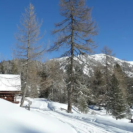Bergheim Schmidt Ski-In Ski-Out Appartements Almhuetten Im Wald *