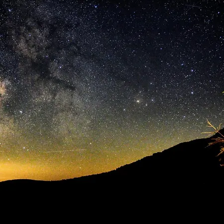 Apartment Bergheim Schmidt, Almhütten Im Wald Appartments An Der Piste Alpine Huts In Forrest Appartments Near Slope Turracher Hohe
