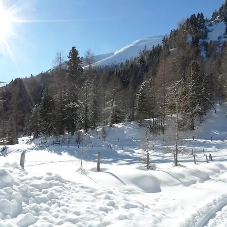 Bergheim Schmidt, Almhütten Im Wald Appartments An Der Piste