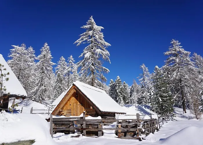 Bergheim Schmidt Ski-in Ski-out Almhuetten Im Wald דירה