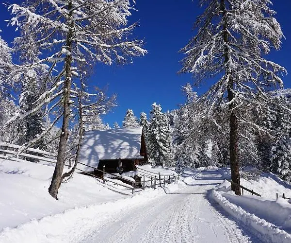 Bergheim Schmidt Ski-in Ski-out Almhuetten Im Wald Turracher Hohe