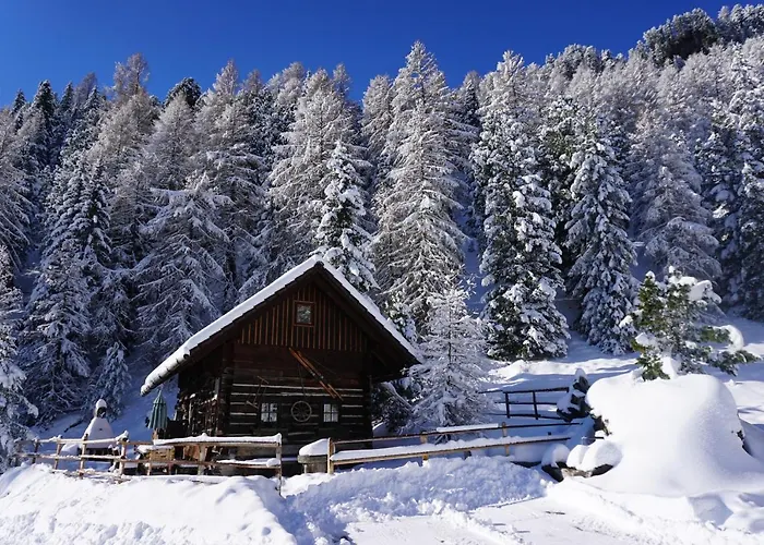 Bergheim Schmidt Ski-in Ski-out Almhuetten Im Wald דירה *