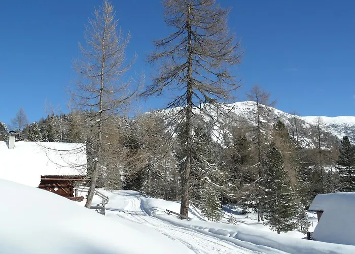 Bergheim Schmidt, Almhütten Im Wald Appartments An Der Piste Alpine Huts In Forrest Appartments Near Slope *