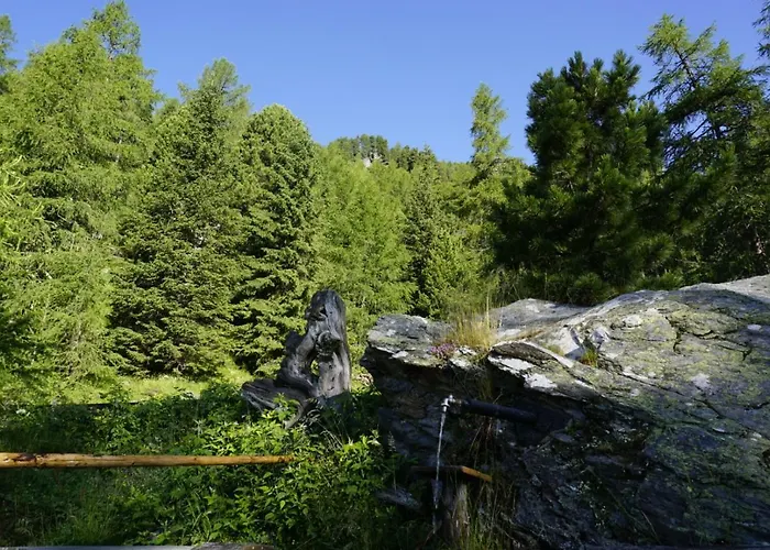 Bergheim Schmidt, Almhütten Im Wald Appartments An Der Piste Alpine Huts In Forrest Appartments Near Slope Turracher Hohe